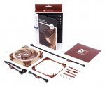 noctua_nf_a12x25_pwm_5.jpg