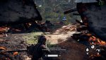 bf2sc1.jpg