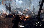 bf2.jpg