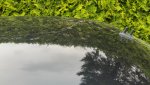 IMG_20180511_152213.jpg