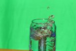 IMG_3966.JPG