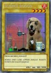 sciencedoggo.jpg