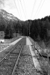 DSCF1385.jpg