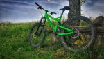 IMG_20180526_122215-01.jpg