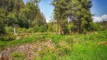 IMG_20180526_151027-01.jpg