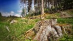 IMG_20180526_151230-01.jpg