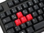 Raptor-Gaming-LK1-004.jpg