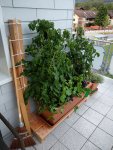 IMG_20180611_210035.jpg