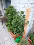 IMG_20180611_210046.jpg