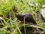 20170506_103808.jpg