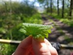 20170506_115758.jpg