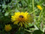 20170520_121613.jpg