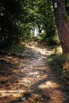 Trail.jpg