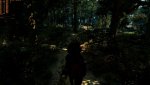 witcher3_2018_07_02_2w1sc2.jpg