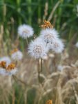 20180709_122000.jpg