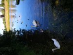 IMG_20180715_162438_BURST035.jpg