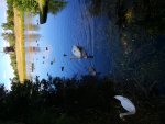 IMG_20180715_162438_BURST017.jpg