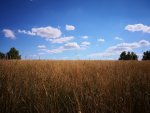 IMG_20180715_161733.jpg