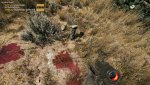 FC5_1.jpg