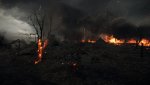 Battlefield 1 MP (7).jpg