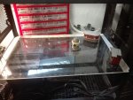 IMG_20180622_172551.jpg
