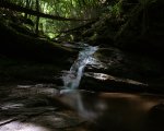 Raw zu jpg test sRGB.jpg