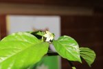 IMG_4830.jpg