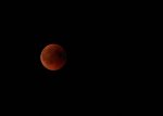 IMG_4856_Fotor.jpg