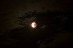 DSC_2086.jpg