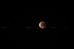 IMG_4884.jpg