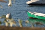 DSC_4163.JPG