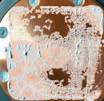 pcgh_1.png