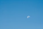 DSC_4375s.jpg