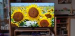 20180807_194144.jpg