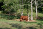 D85_0645_DxO.jpg