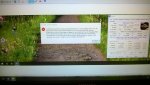 thumbnail_IMG994D.jpg