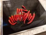 IMG_20180812_115236.jpg