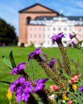 Palastgarten.jpg