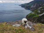 MP_Nord-Irland_2017_262.jpg