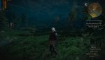 witcher 3.jpg