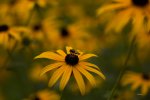 FlyPic (10).jpg