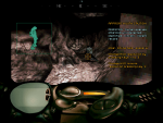 r_002.png