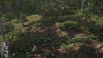 SCUM_2018_09_01_22_42_52_572.jpg
