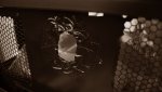 DSC02014.jpg