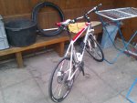 IMAG0220.jpg