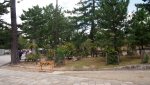P1011800.JPG