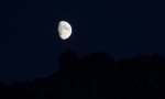 DSC_4450_2s.jpg