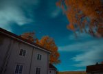 DSC05271.JPG