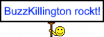 BuzzKillington.png