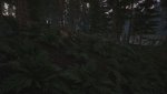 SCUM_2018_09_20_21_03_03_609.jpg